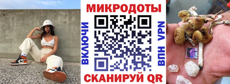 Псилоцибиновые грибы Cubensis Кяхта